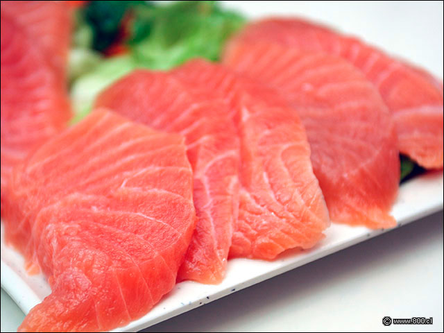 Primer plano de Sashimi de Salm�n - Too Much (Serrano - Santiago Centro)