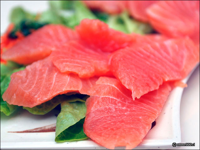 El Sashimi de Salm�n del restaurante Too Much Serrano - Too Much (Serrano - Santiago Centro)