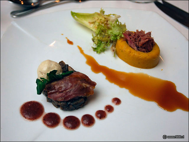 Confit de Pato en dos formas - Bristol - Hotel Plaza San Francisco