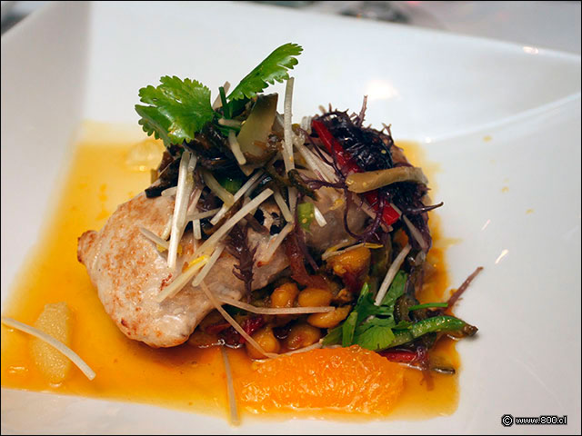 Filete de Corvina - Bristol - Hotel Plaza San Francisco