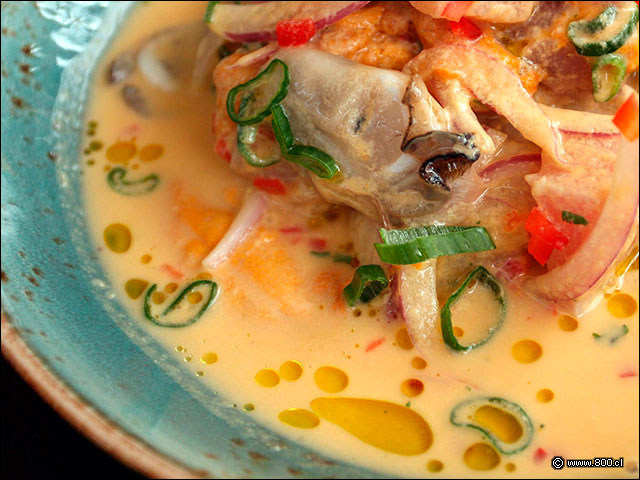Primer plano de Cebiche Lujurioso - La Mar Cebichera