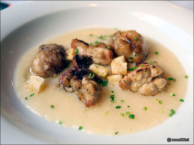 Mollejas en salsa Trufada