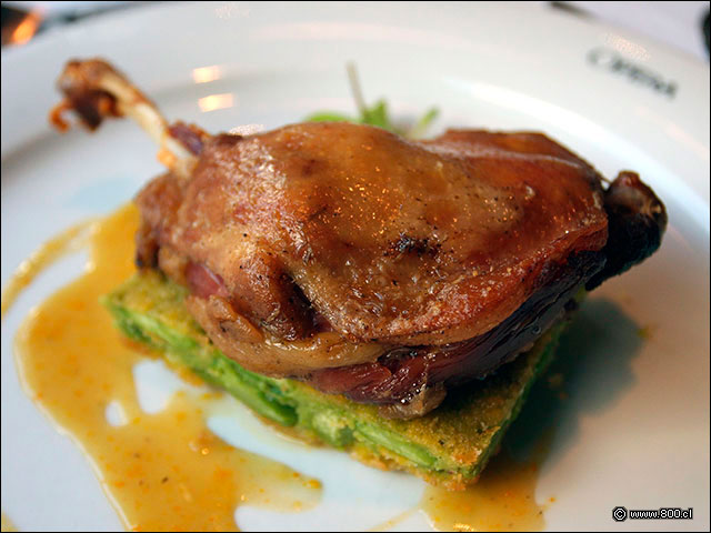 Confit Canard