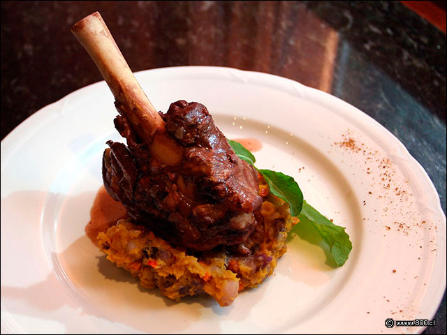 Garr�n de Cordero - Brick (Radisson Plaza Santiago)