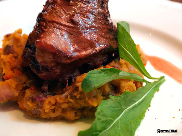 Garr�n de Cordero sobre Charquic�n - Brick (Radisson Plaza Santiago)