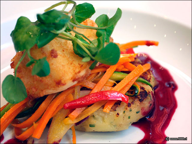 Primer plano de Merluza - Brick (Radisson Plaza Santiago)