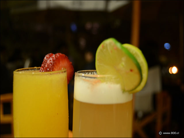 Bellini y Sour Peruano  - El Bigrafo - Lastarria