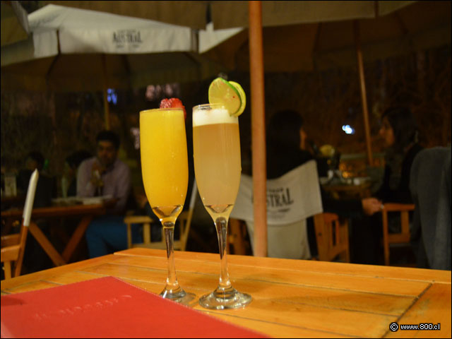 Sour Y Bellini  - El Bigrafo - Lastarria