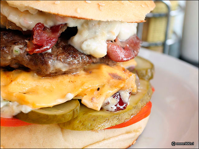 Queso cheddar, lechuga, tomate, tocino, aros de cebolla, pepinillo dill y salsa t�rtara en Hamburguesa Cl�sica - La Sangucher�a (Vitacura)