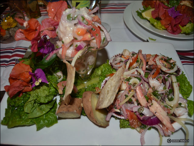 Color y sabor en La Taverne - La Taverne du Pecheurs (Isla de Pascua)