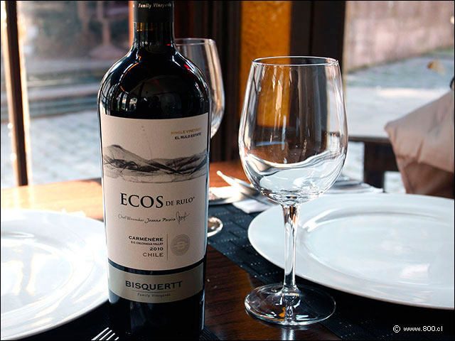 Vino Evos de Rulo Carmenere 2010 de Viña Visquertt - Mulato Restaurant