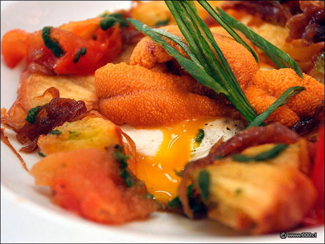 Lenguas de Erizo con Huevo Pochado - Mulato Restaurant