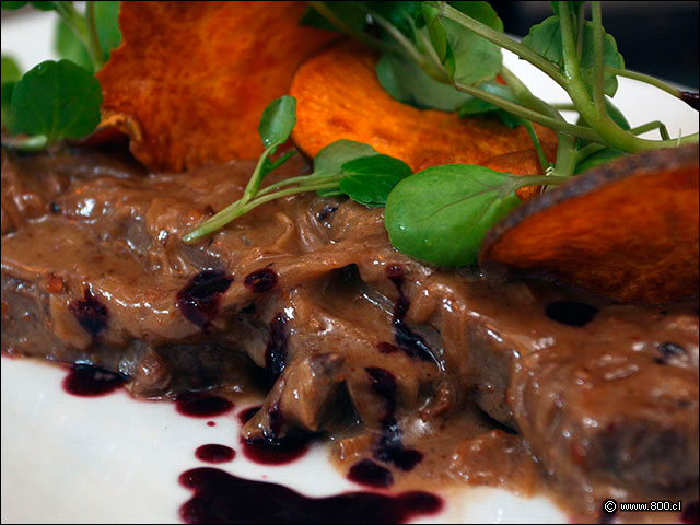 Lminas de lengua cubierta en salsa de avellanas - Mulato Restaurant