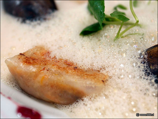Raviol de locos con espuma de choritos y almejas - Mulato Restaurant