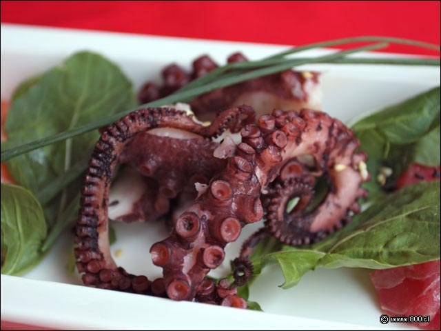 Sashimi de Pulpo - Un Oasis Restaurant