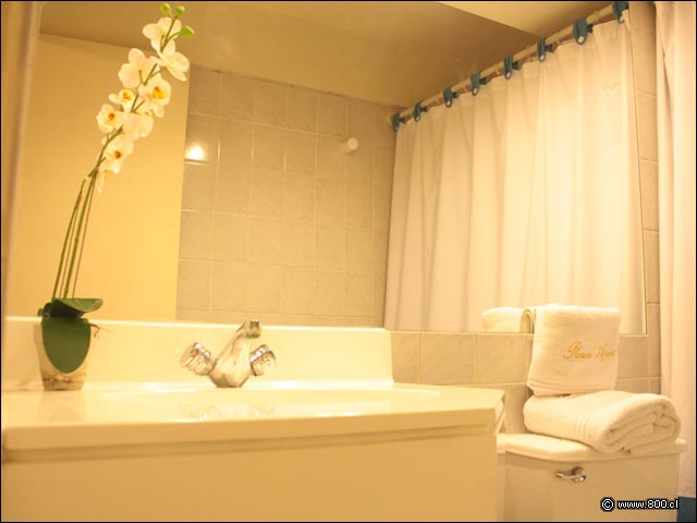 Ba�o - Prince Apart Hotel (Santiago)
