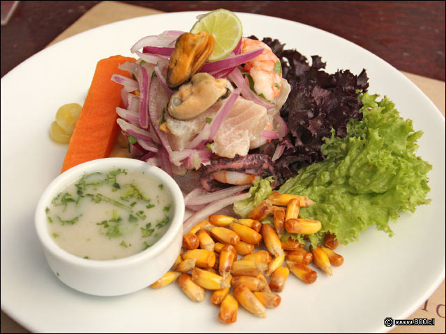 Cebiche Mixto - Rocoto Las Condes