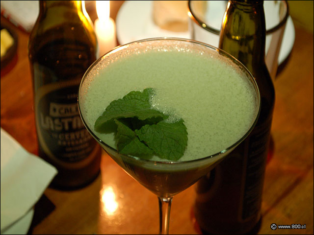 Crillo Grass - Caleta Lastarria