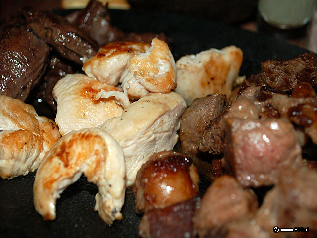 Detalles Carnivoros - Caleta Lastarria