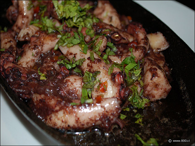 El Bien Logrado Pulpo al Olivo - Caleta Lastarria