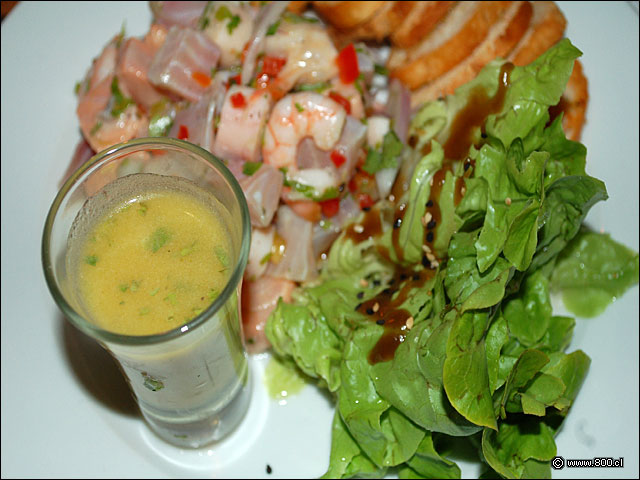 Frescura Marina - Caleta Lastarria