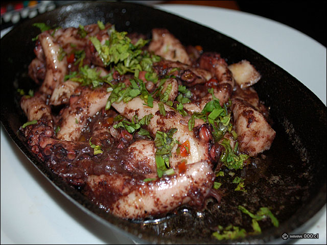 Pulpo Al Olivo - Caleta Lastarria