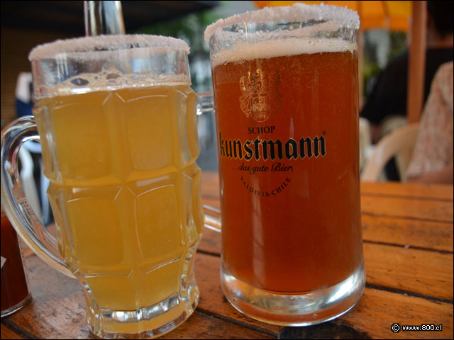 Cervecear en la Fuente - La Fuente de Vitacura (Vitacura)