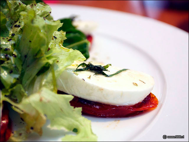 Ensalada capresse mozarella di bfala - Pastamore