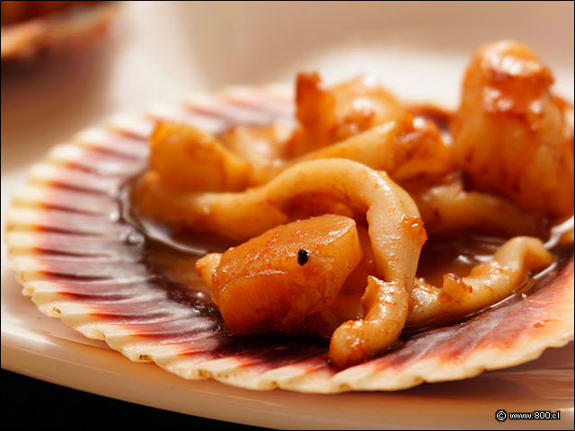 Mariscos flambeados en concha de ostiones - Cevichela (Vitacura)
