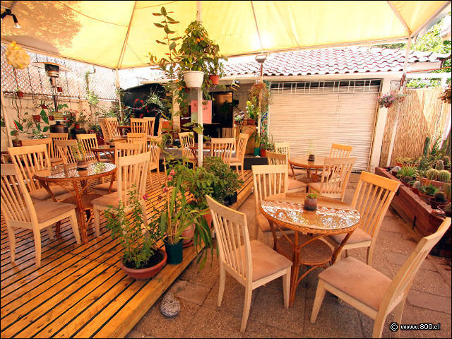 Terraza principal del Caf Botnico