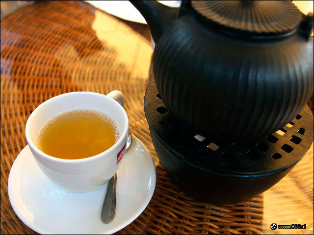 Infusin de T