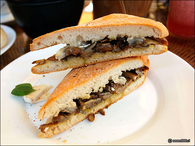 Sndwich Amapola con championes ostra y queso camembert