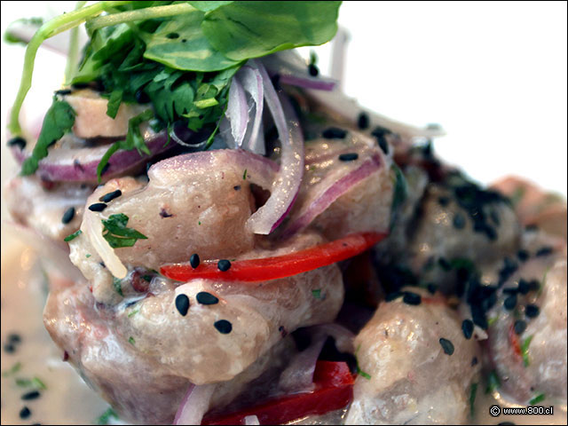 Ceviche mixto de pulpo y pescado blanco - Cvico - La Moneda