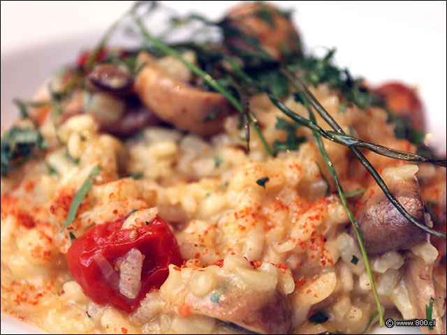 Arroz cremoso de champiñones