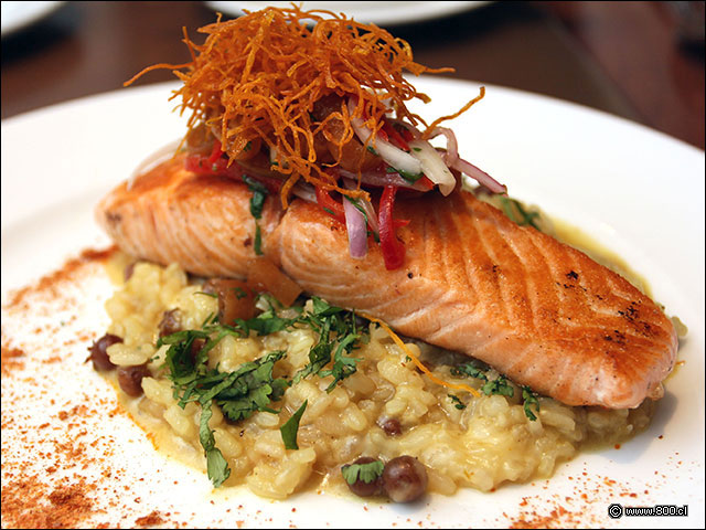 Salmón grillado sobre Risotto de Martilla