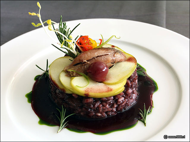 Risotto  al vino tinto con codornices - El Cid - Hotel Sheraton