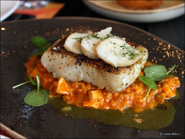 Merluza Alocada con Cremoso Arroz de Locos - La Mar (Cebichera)