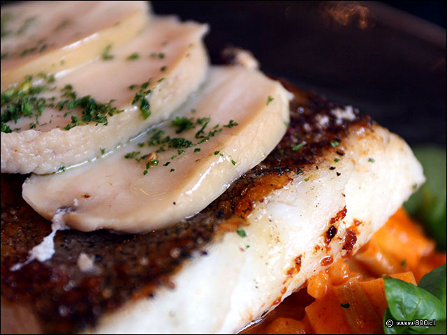 Lminas de Locos sobre filete de pescado en Merluza Alocada - La Mar Cebichera
