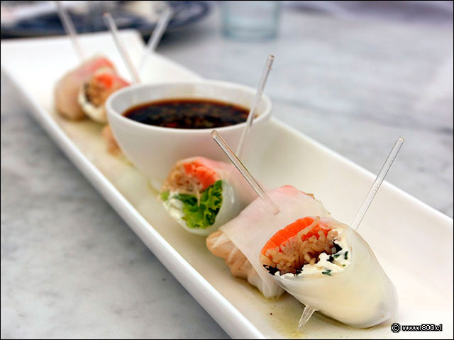 Summer Rolls - Palacio Danubio Azul (PDA)