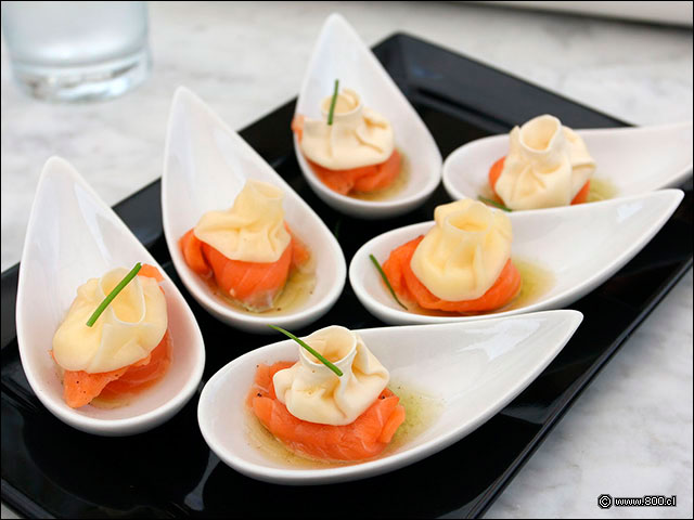 Salmon Dumpling - Palacio Danubio Azul (PDA)