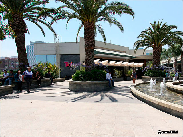 Vista general del restaurante Tanta Alto Las Condes - Tanta - Alto Las Condes