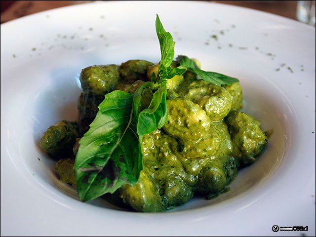 oquis al pesto - La Finestra Ristorante (Plaza uoa)