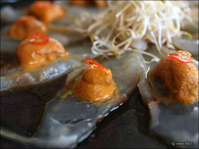 Ptalos de Vilagay con cilantro, erizo y aj - Naoki Vitacura