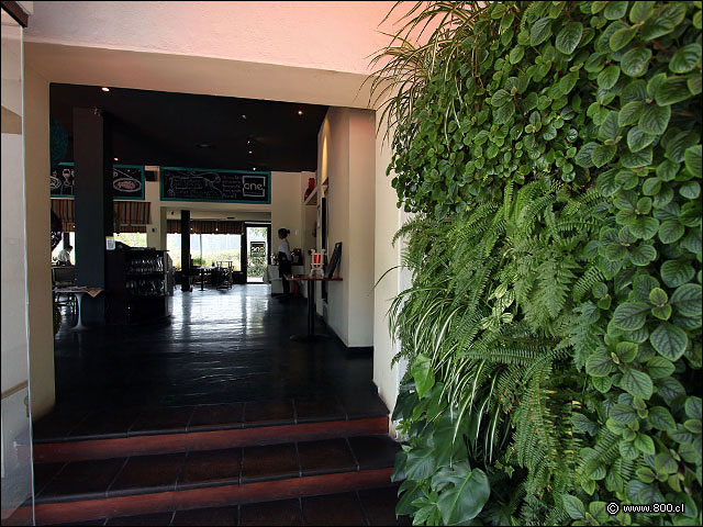 Hall de acceso con notable muro verde vegetal - All in One