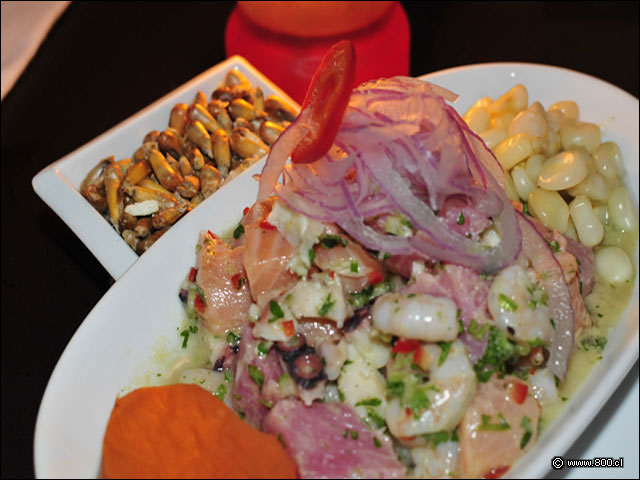 Ceviche Zabo - Zabo (Bellavista)