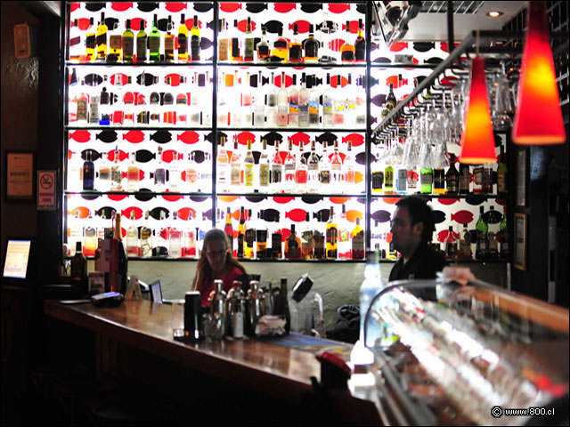 Interior Barra - Zabo (Bellavista)
