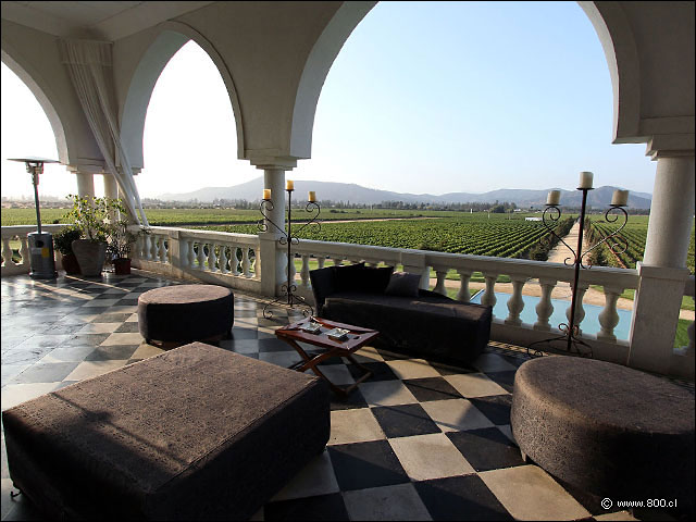 La espectacular terraza y su vista al viedo - Macerado - Viamar