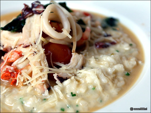 Ostiones, calamares, camarones y tomate cherry en Risotto de Mariscos