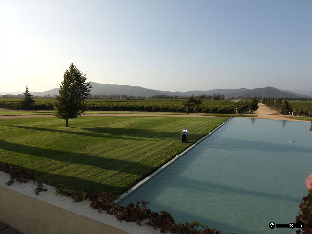 Vista norte del imponente espejo de agua y viedos - Casa Viamar - Casablanca