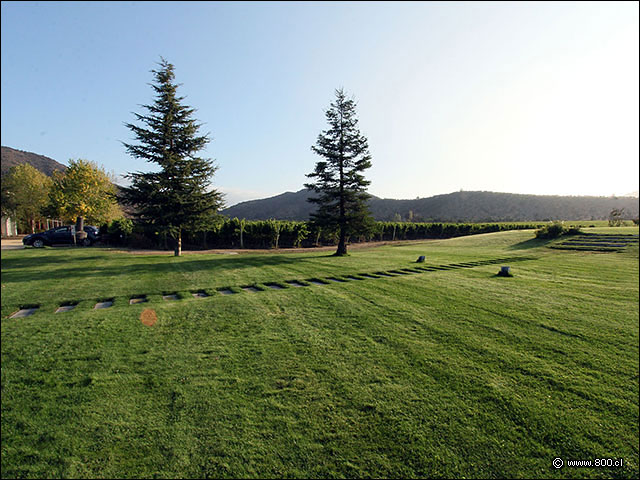 Jardines al poniente de la casona - Casa Viamar - Casablanca